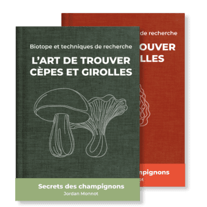 pack expert : guides de recherche pour la le cèpe, la girolle et la morille
