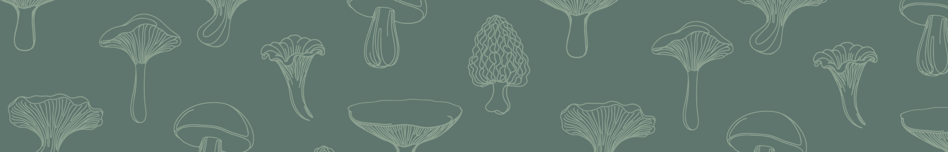 Bande_motif_landing-page