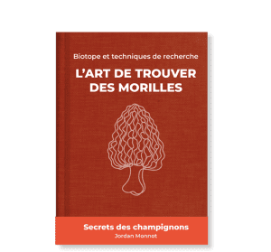 pack découverte : guide de recherche pour la morille