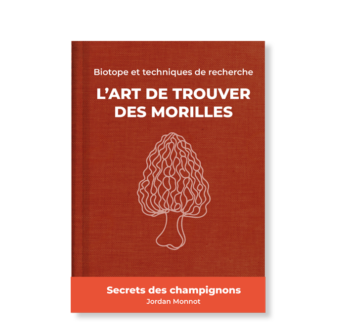 pack découverte : guide de recherche pour la morille
