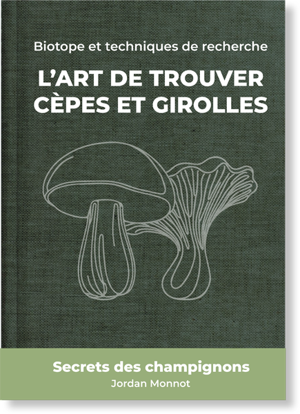 Guide de recherche pour les cèpes et girolles