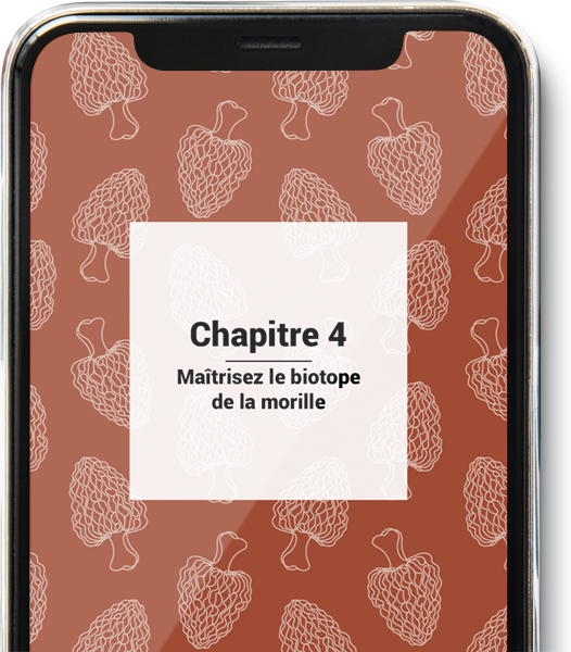 Guide des morilles sur smartphone