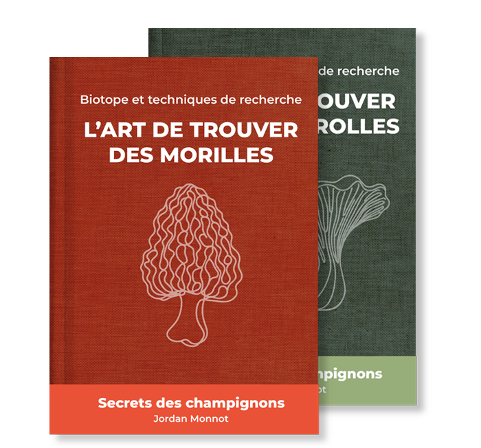 pack expert : guides de recherche pour la morille, le cèpe & la girolle