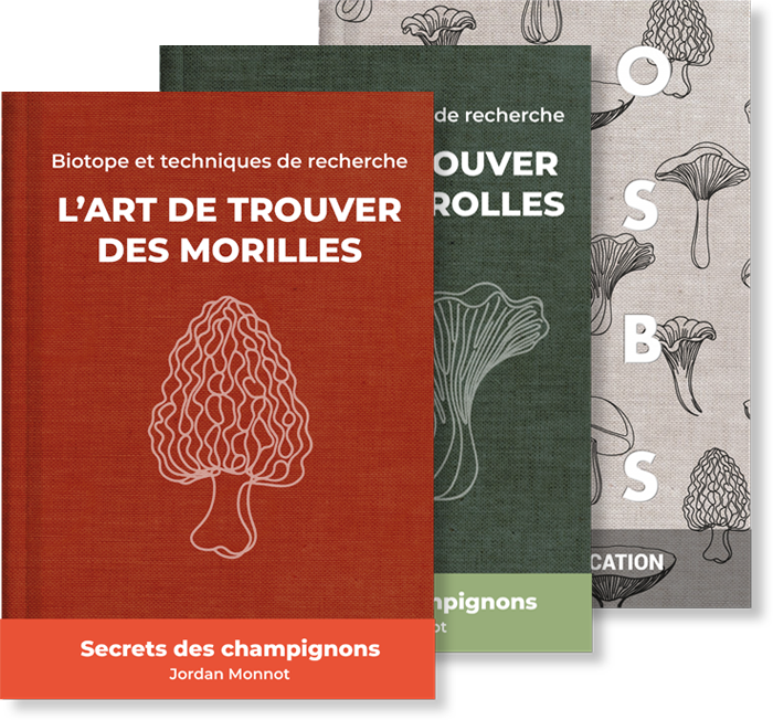pack mycologue : tous les guides de recherche et d'identification