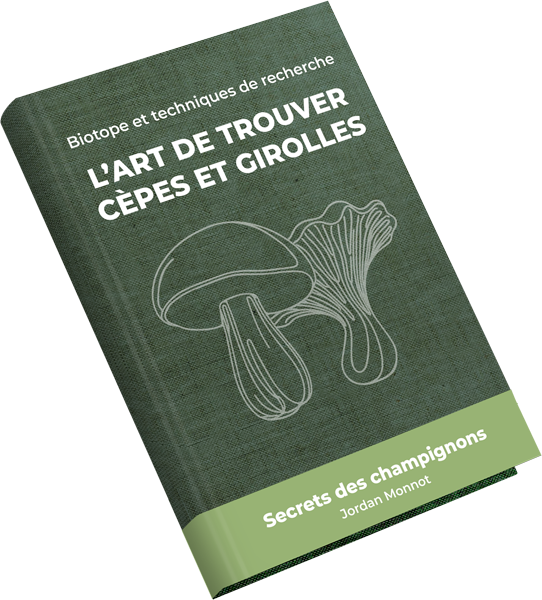 Guide de recherche pour les cèpes et girolles
