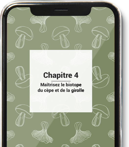 Guide des cèpes et girolles sur smartphone