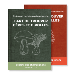 pack expert : guides de recherche pour la le cèpe, la girolle et la morille