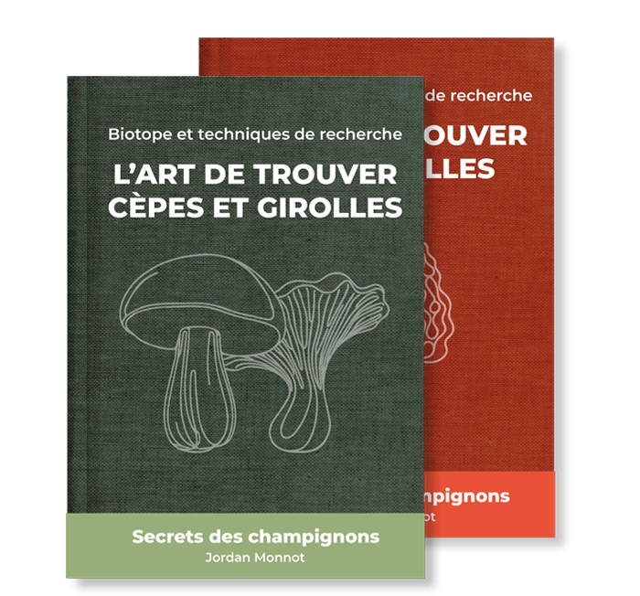 pack expert : guides de recherche pour la le cèpe, la girolle et la morille