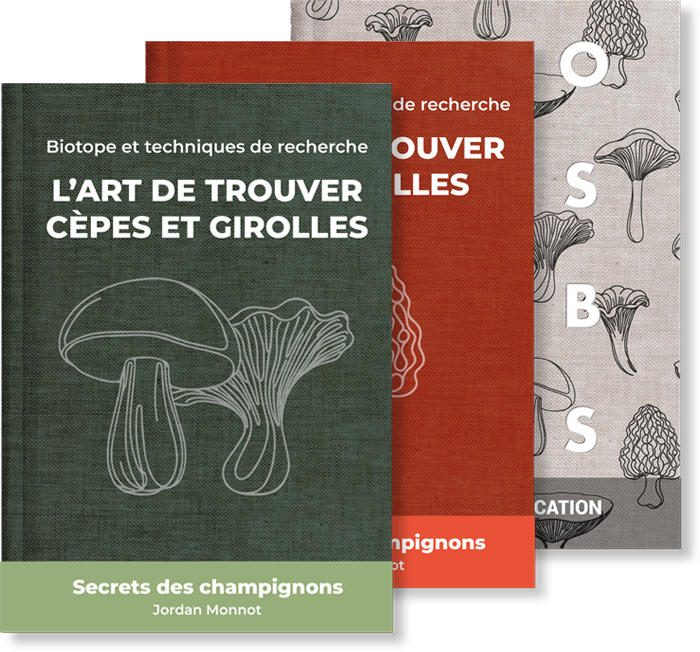 pack mycologue : tous les guides de recherche et d'identification